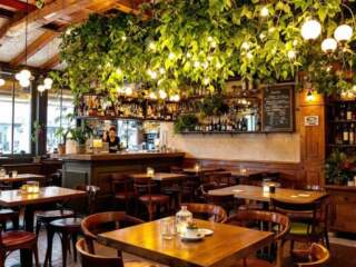 Nice Pubs: Best Tips, Ideas & Guide for 2026