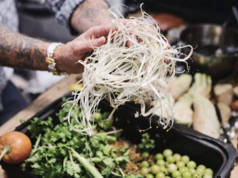 Equipment Cookery: Best Tips, Ideas & Guide for 2026